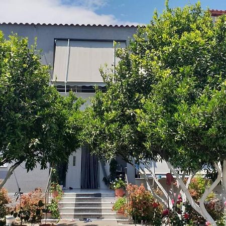 Guesthouse Anila Divjake Esterno foto