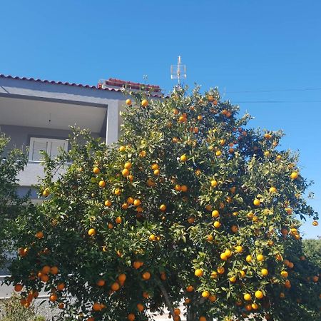 Guesthouse Anila Divjake Esterno foto