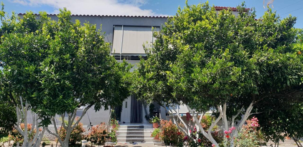 Guesthouse Anila Divjake Esterno foto