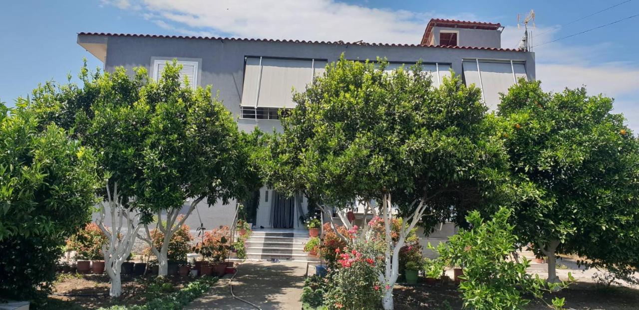 Guesthouse Anila Divjake Esterno foto