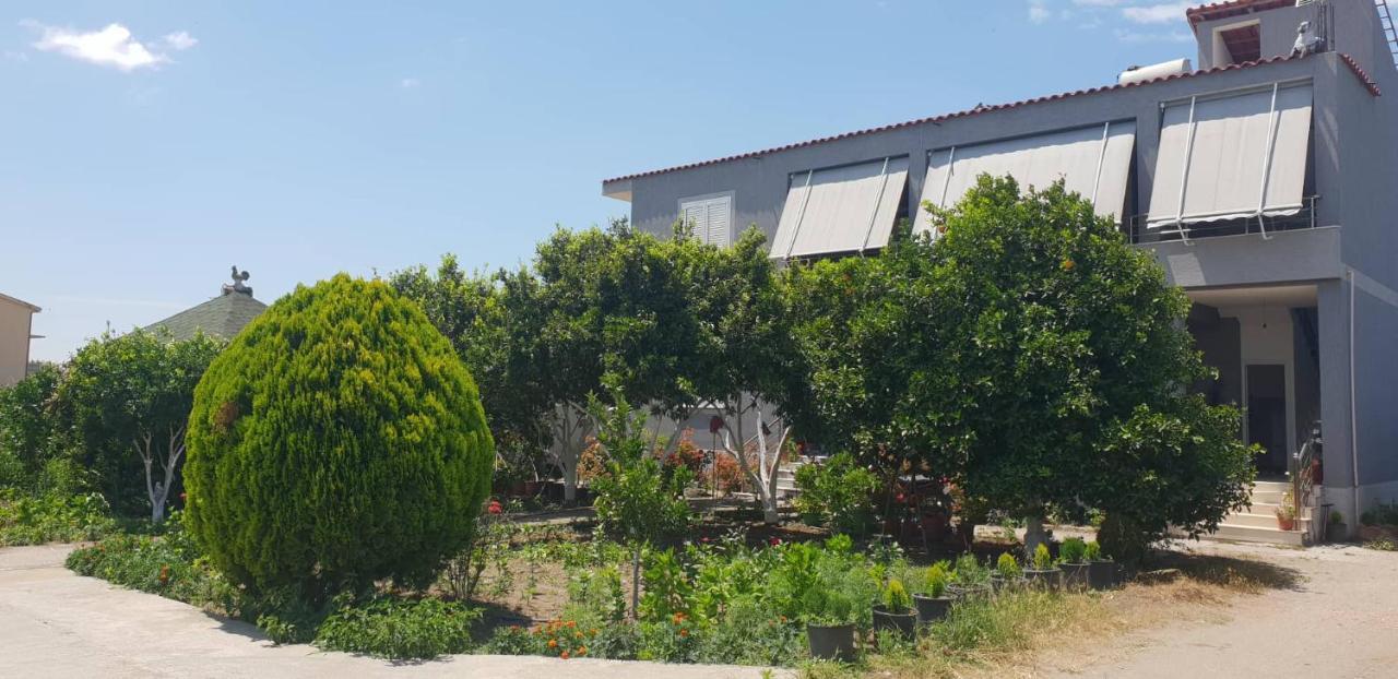 Guesthouse Anila Divjake Esterno foto