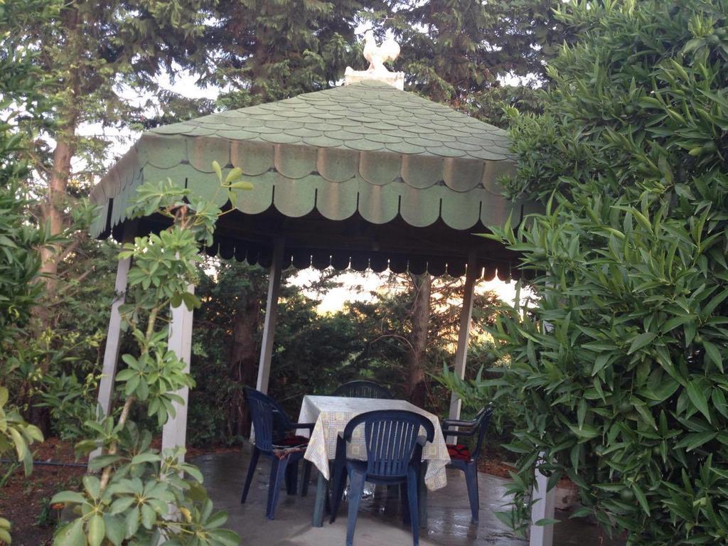 Guesthouse Anila Divjake Esterno foto