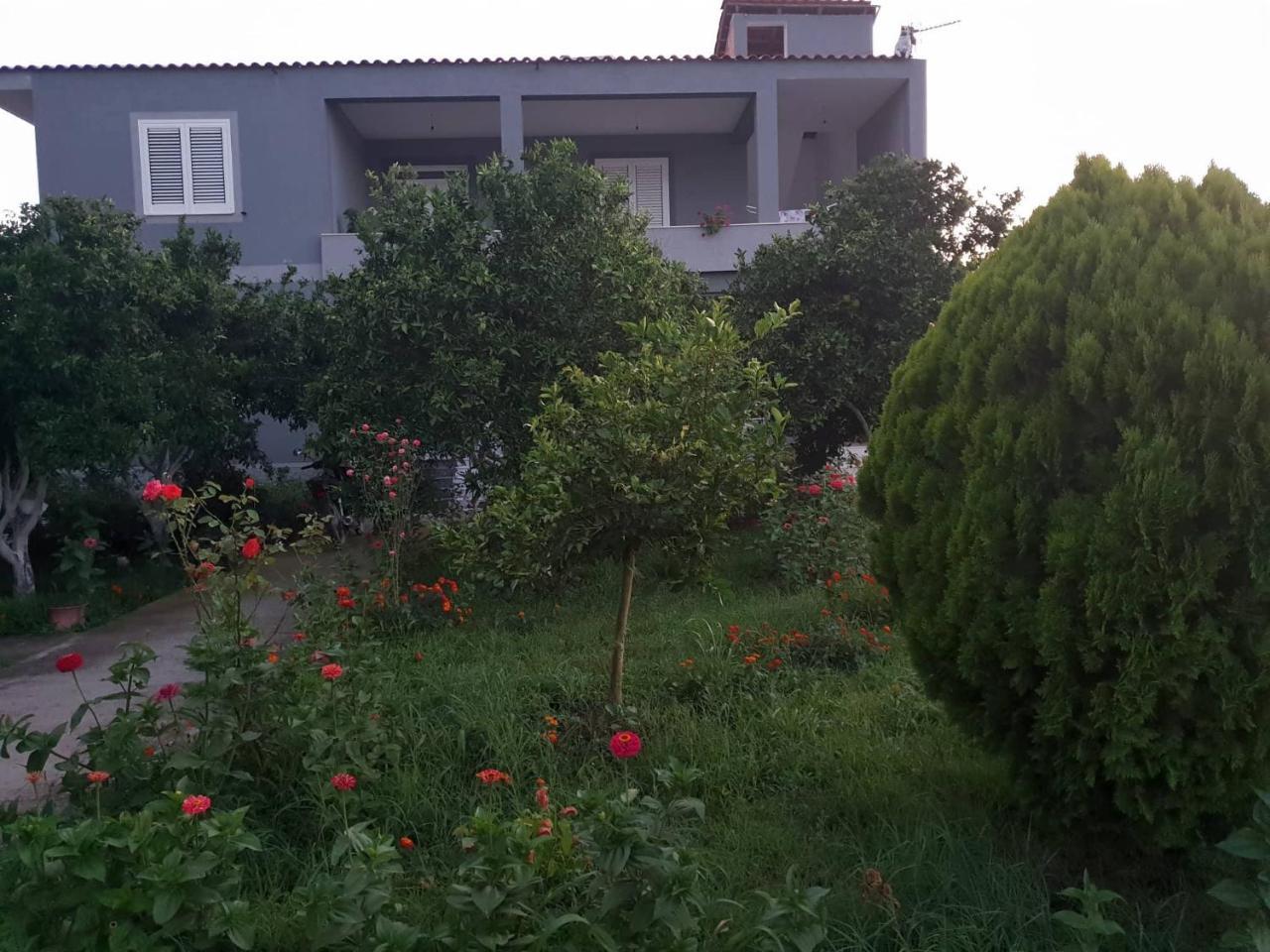 Guesthouse Anila Divjake Esterno foto