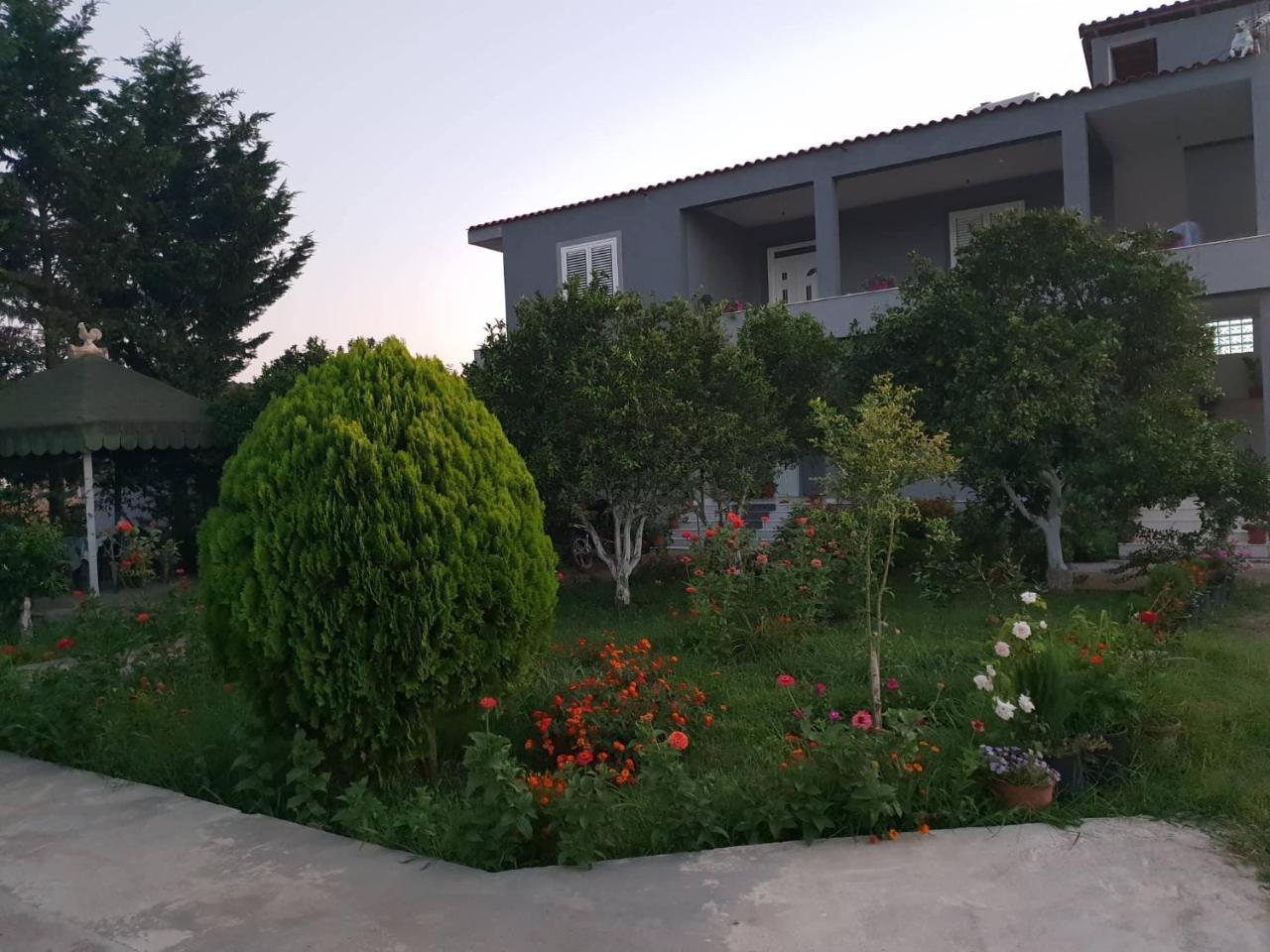 Guesthouse Anila Divjake Esterno foto