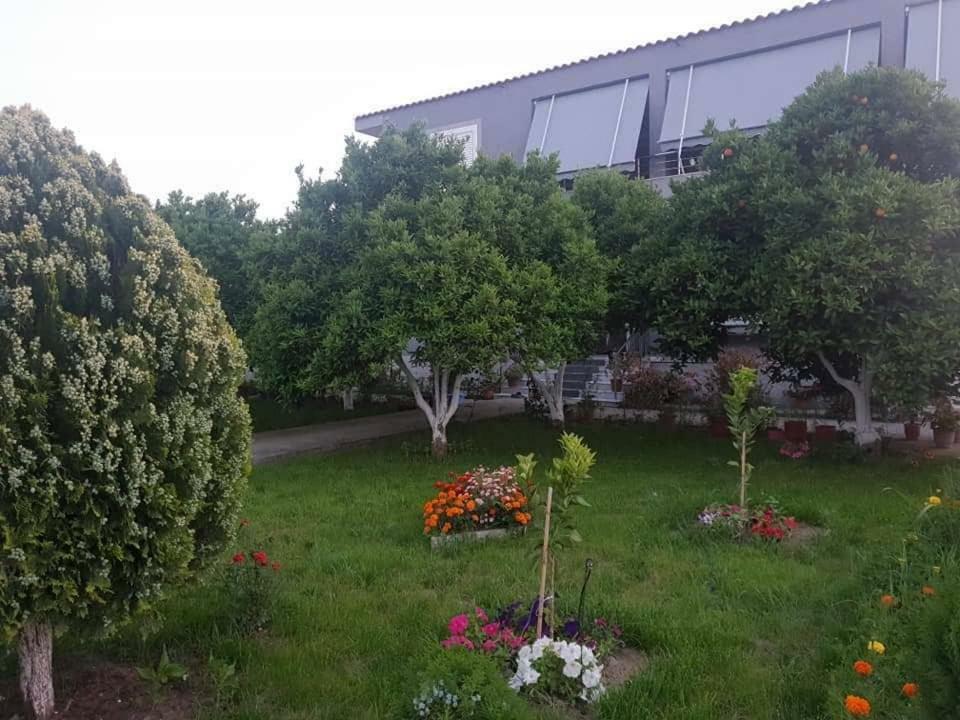 Guesthouse Anila Divjake Esterno foto